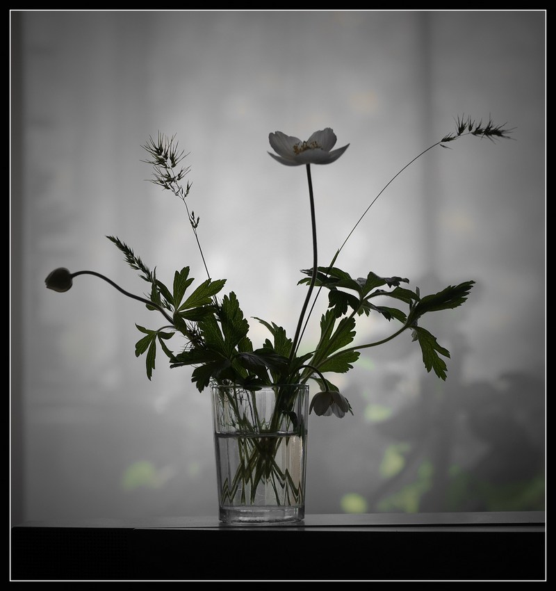 Der Platz ist nicht Malevich