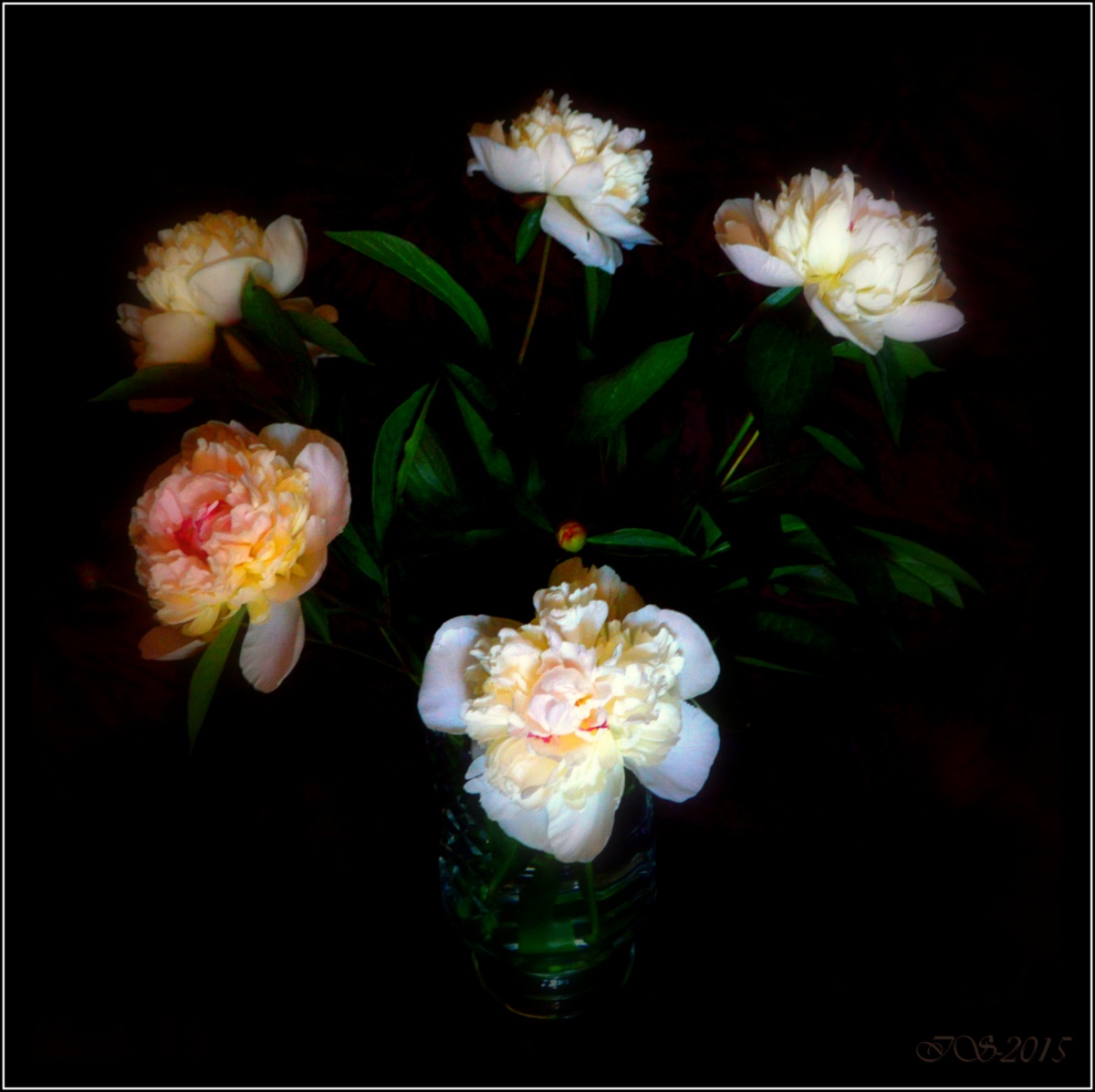 Der Platz ist nicht Malevich