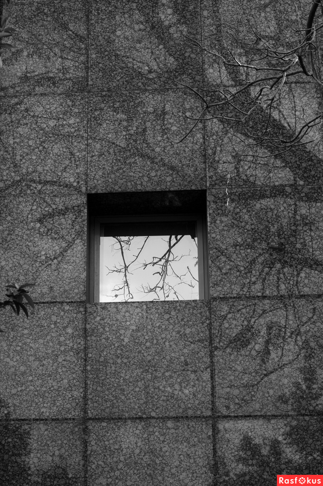 Der Platz ist nicht Malevich