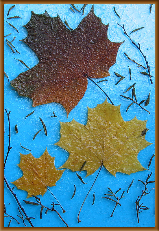 Der Platz ist nicht Malevich