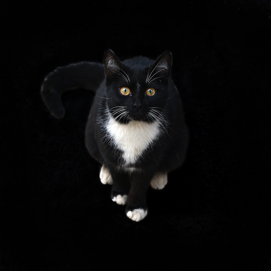 Der Platz ist nicht Malevich