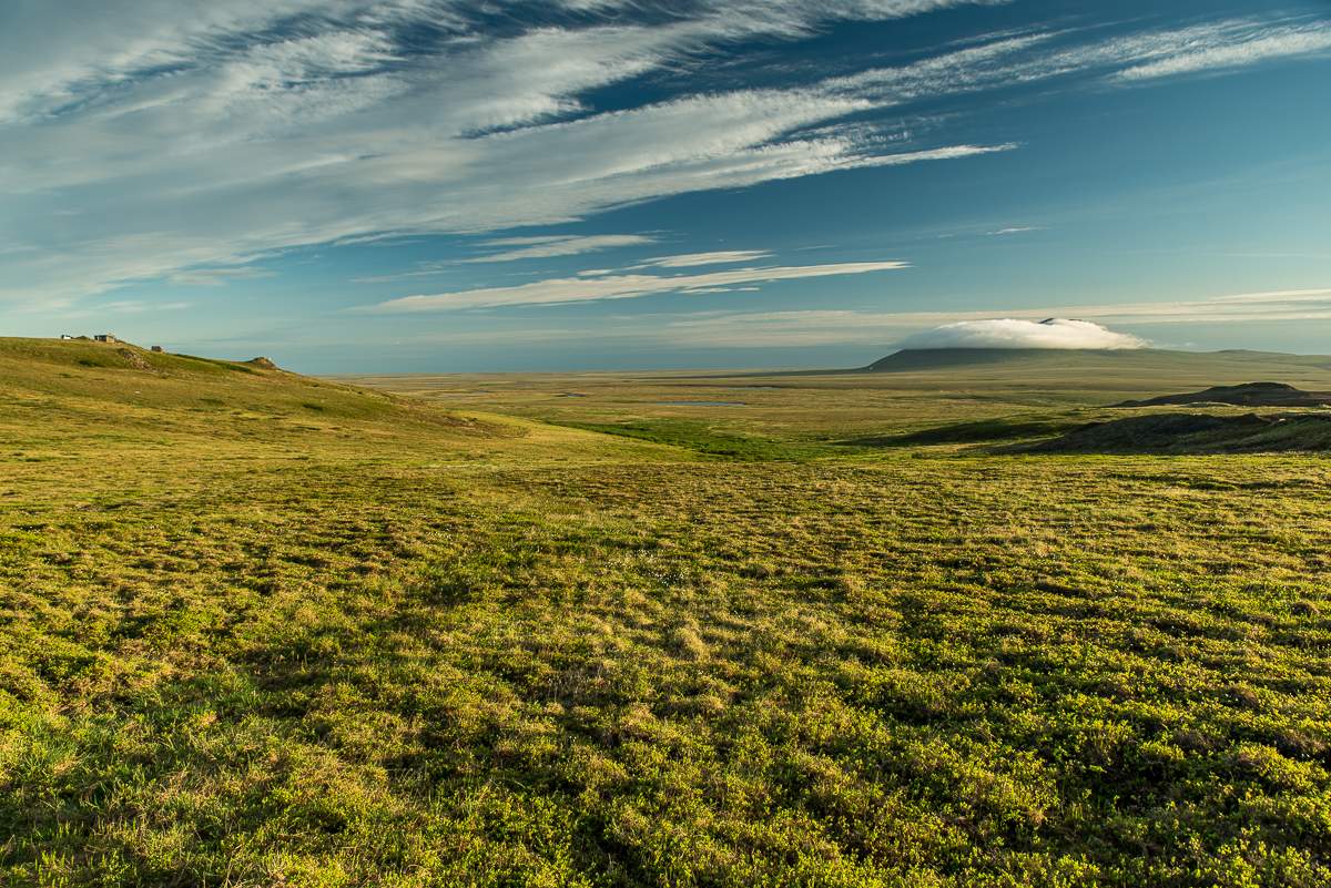 Chukotka. Tundra