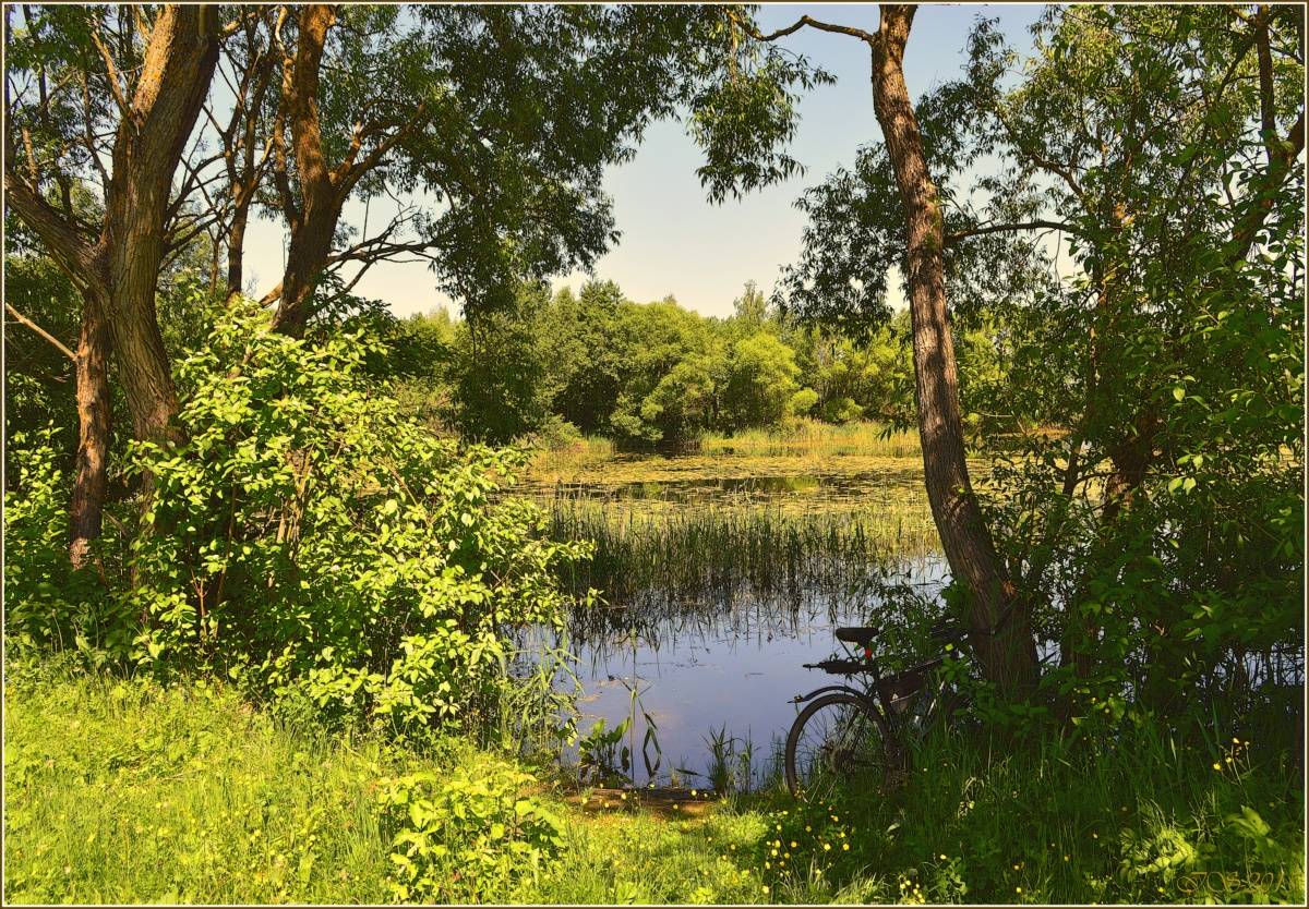 Rest in den Schatten