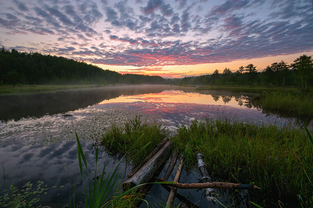Abend auf der Heide