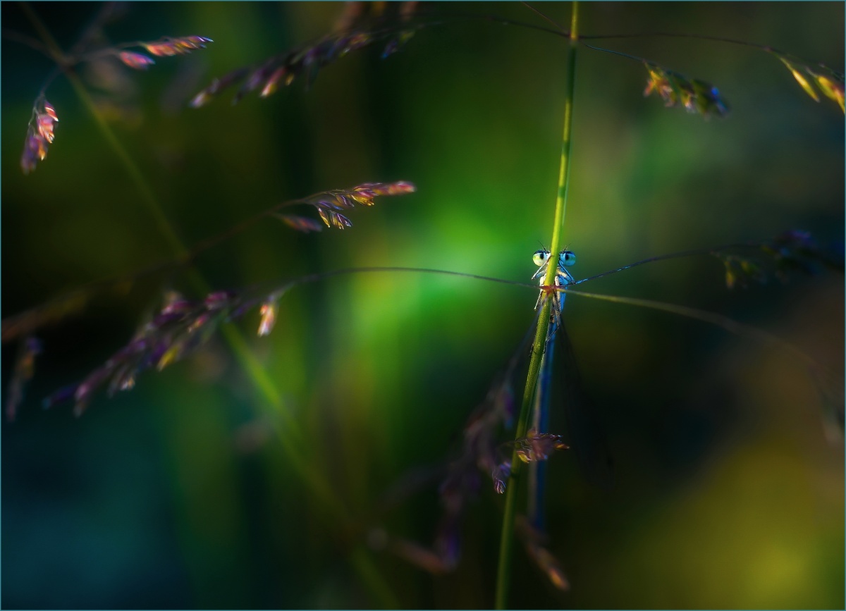 Wer nicht ausgeblendet ist