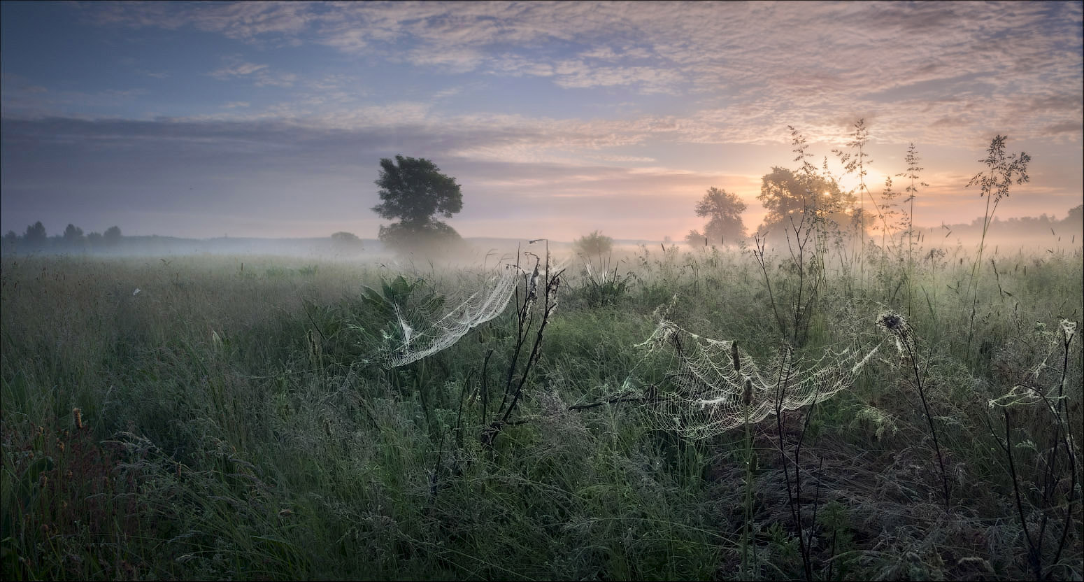 Die Sonne in der Morgendämmerung Nebel getaucht