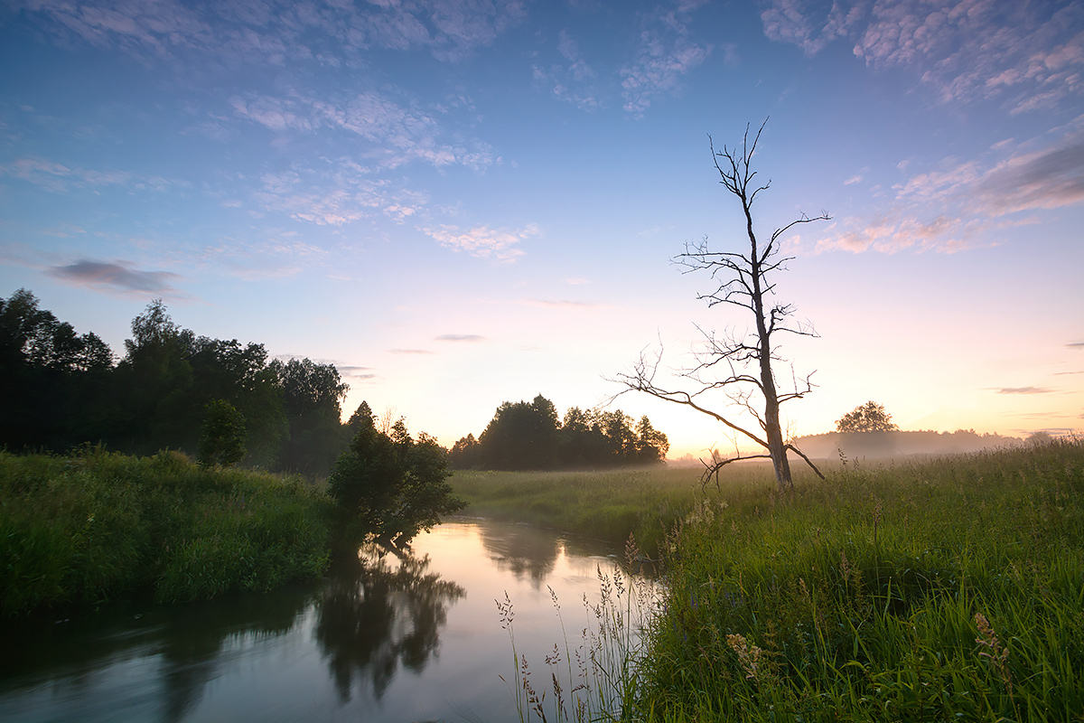 Nachsinnen über ...