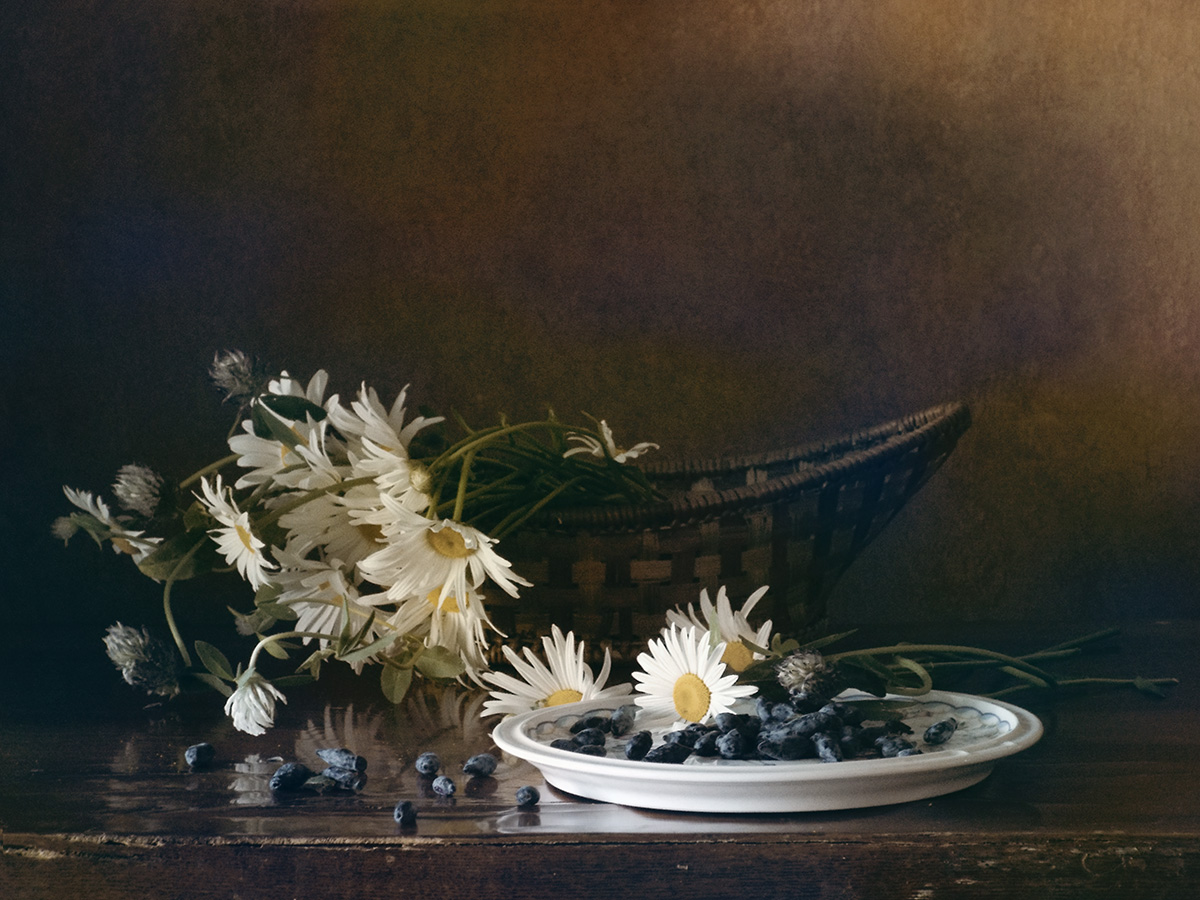 Gänseblümchen und blau-graue Beeren ...