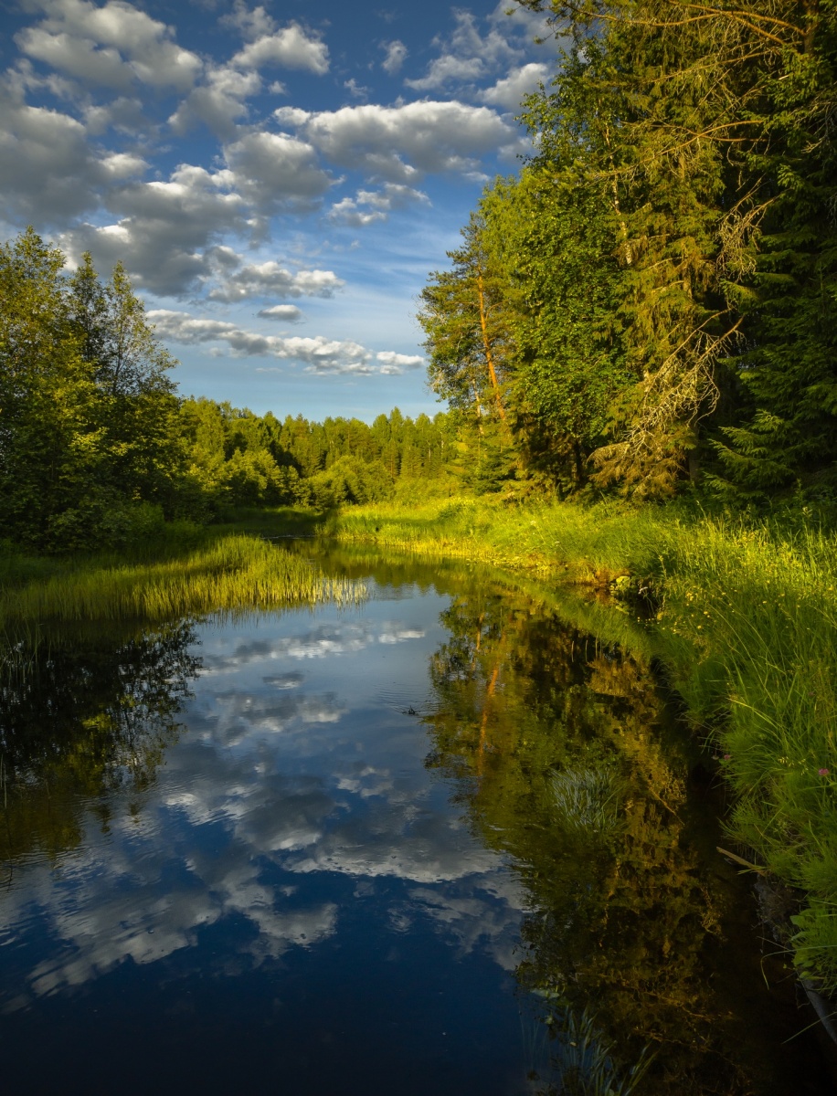 Strand Pigomy - der ...