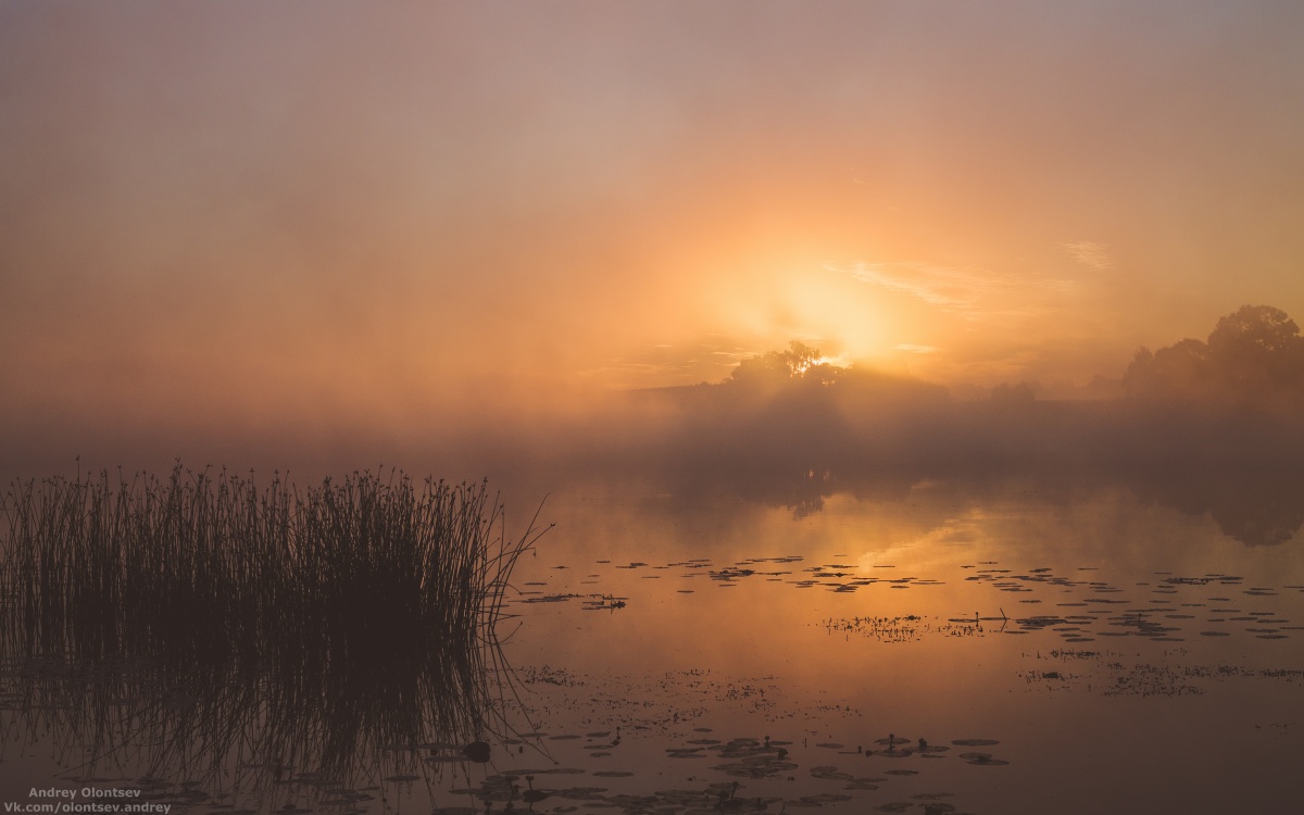 Nebel in der Morgendämmerung.