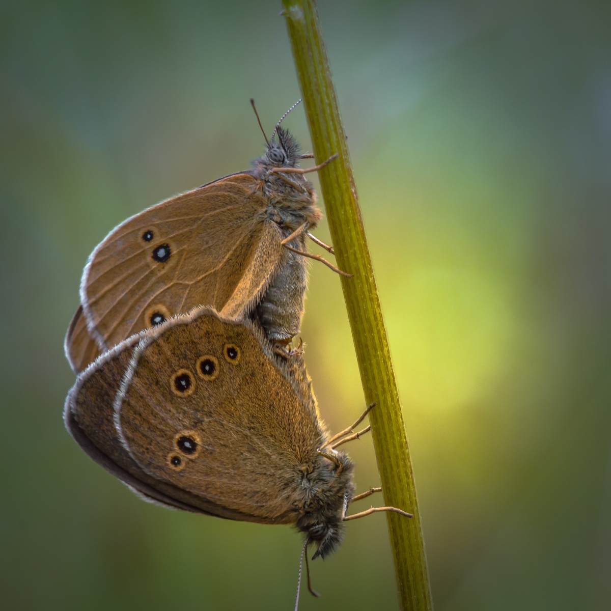 Es ist Zeit zu lieben ...