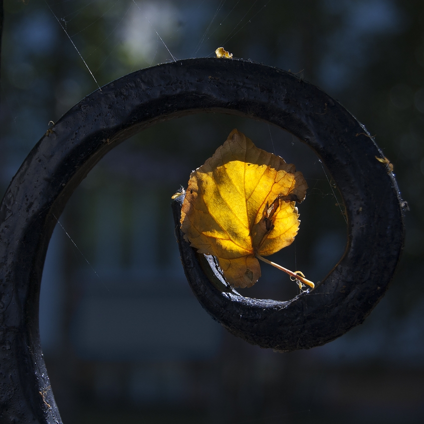 Zeichen des Herbstes