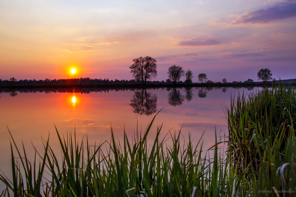 Sonnenuntergang auf dem Zaun