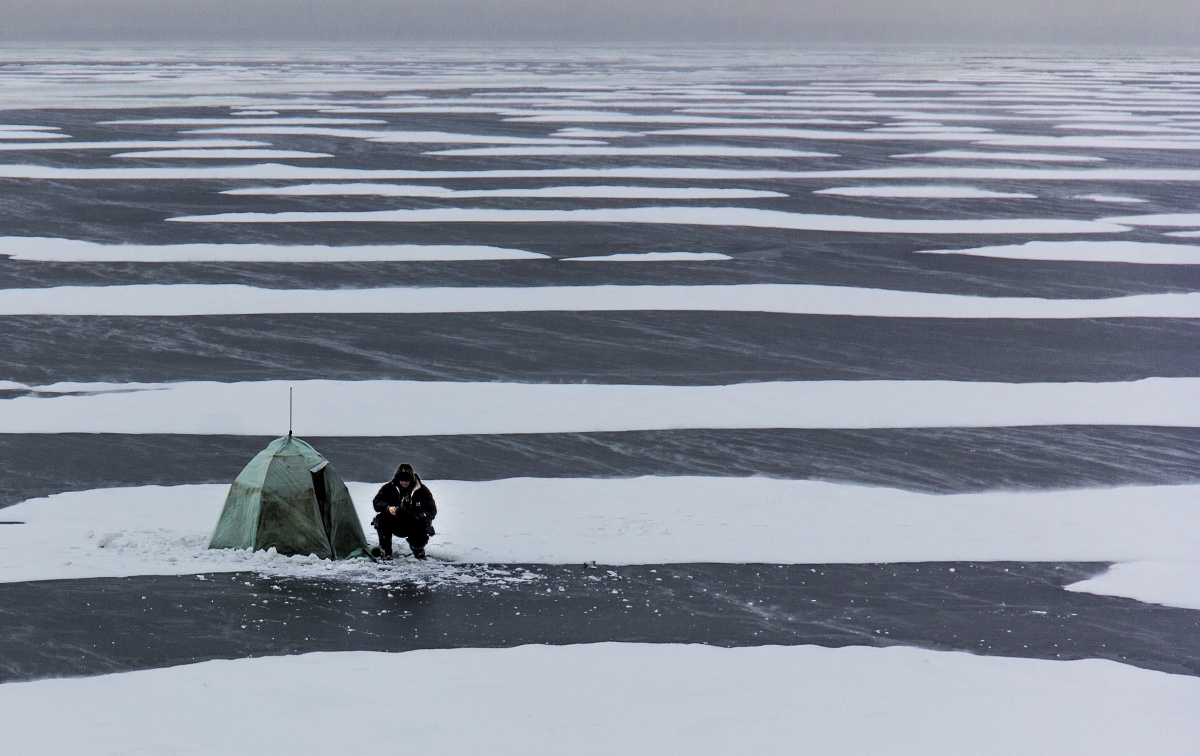 Heute Biss auf weißem Band!