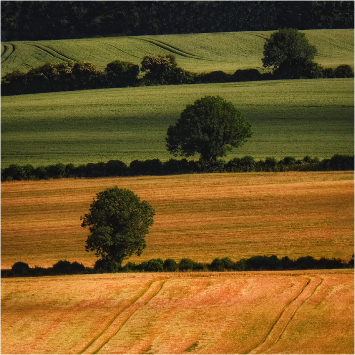 ... Rhythmisch gestreift ...