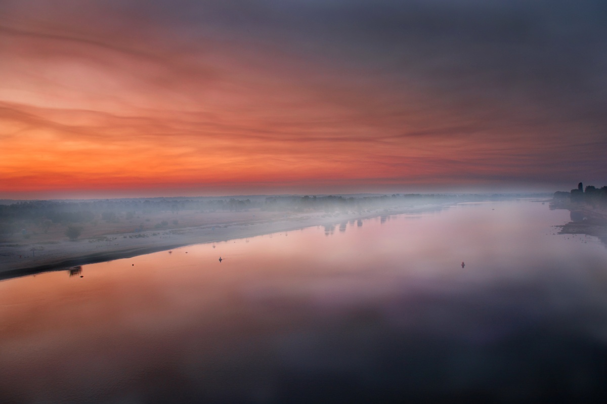 Nightshade lyasnogo pazharu ...