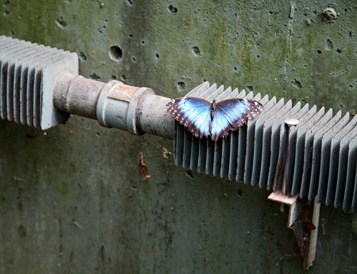 A Momentary Lapse of Reason