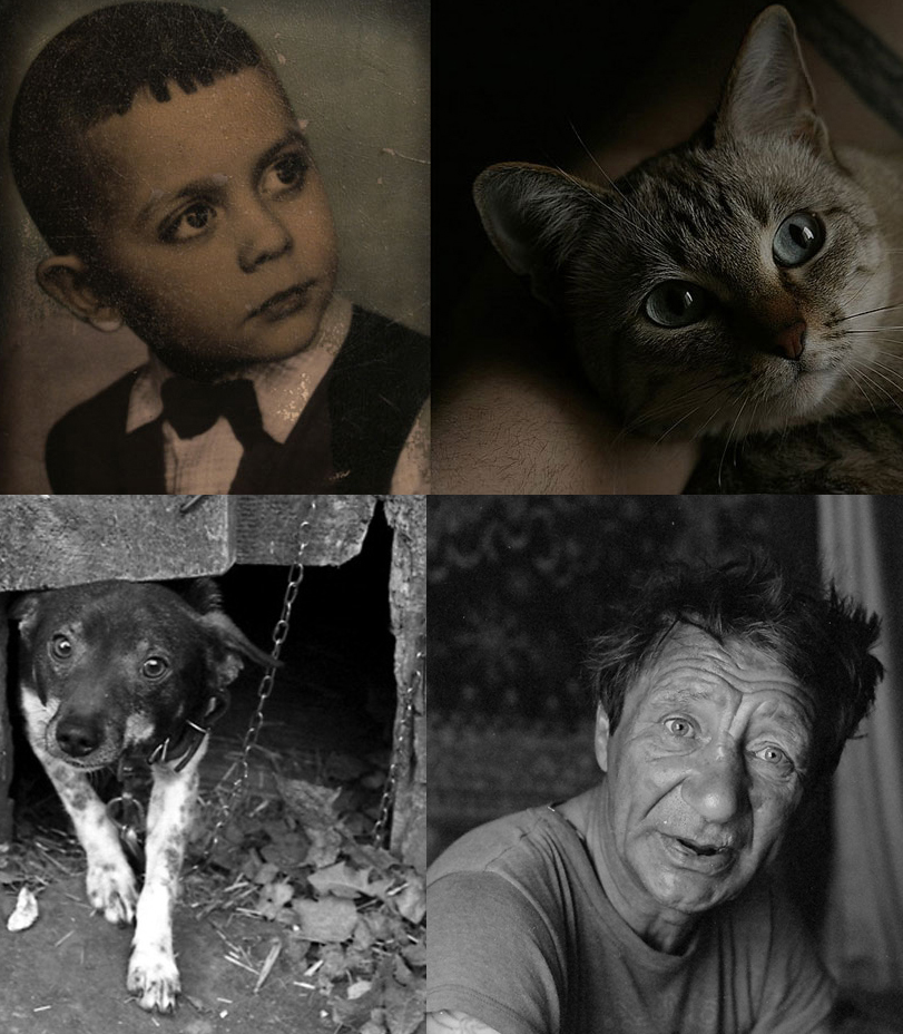 Menschen und ihren Haustieren