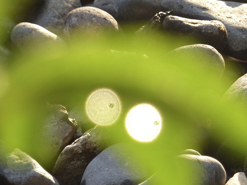 Ich sehe alles (vor allem Fotos)