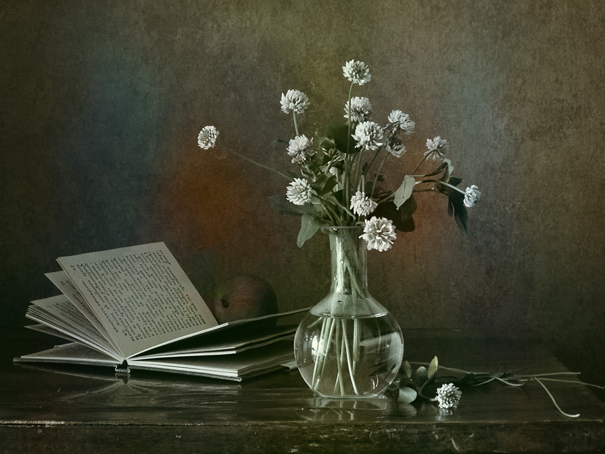 Steinklee oder nicht ... lesen ...