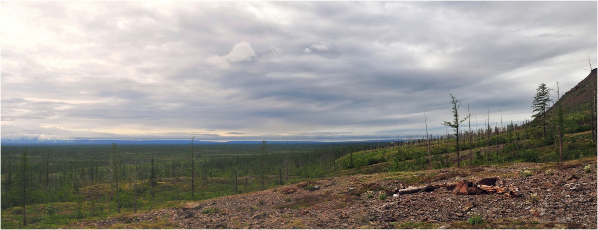 Die Weiten der Tundra