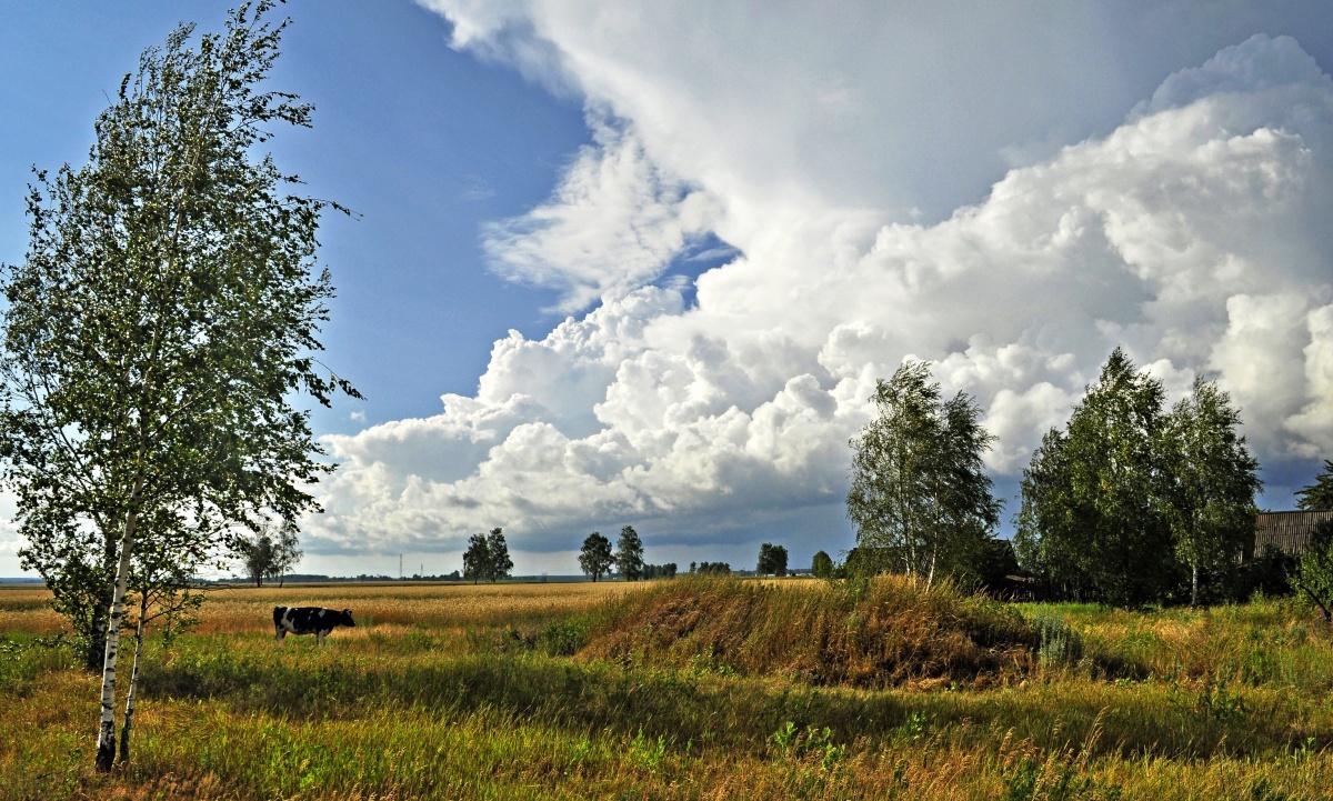 in dem Dorf im Sommer