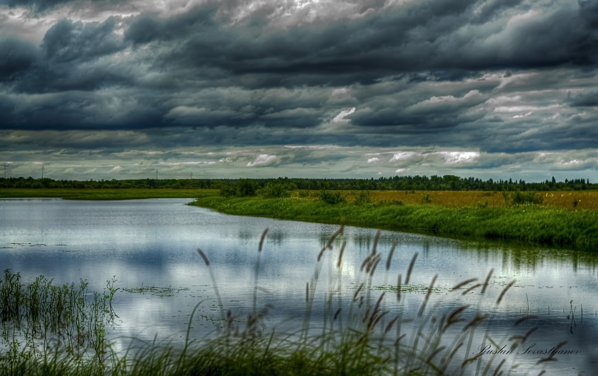 Red Mountain Nature!
