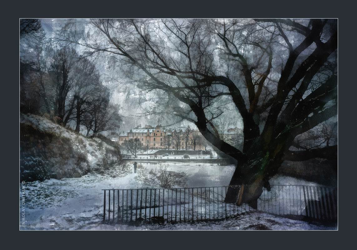 Viipuri winter. 2014