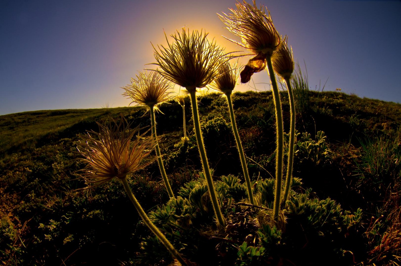 Längst verblasst ......
