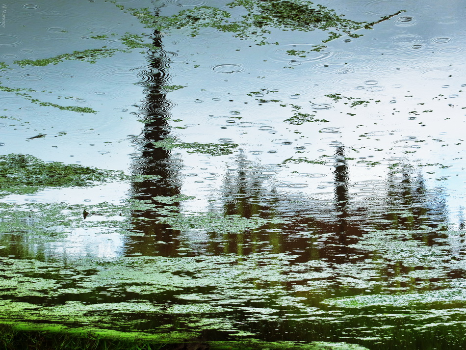 Gervyaty in der regen