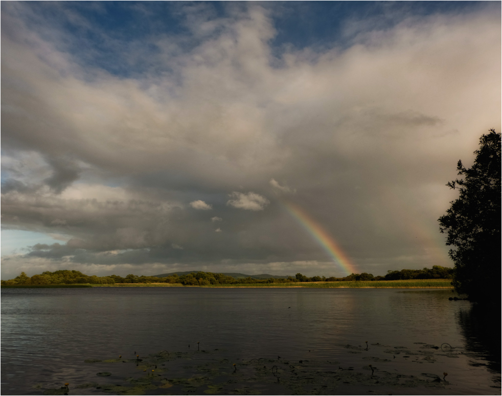 Marsh Extravaganz ... ...