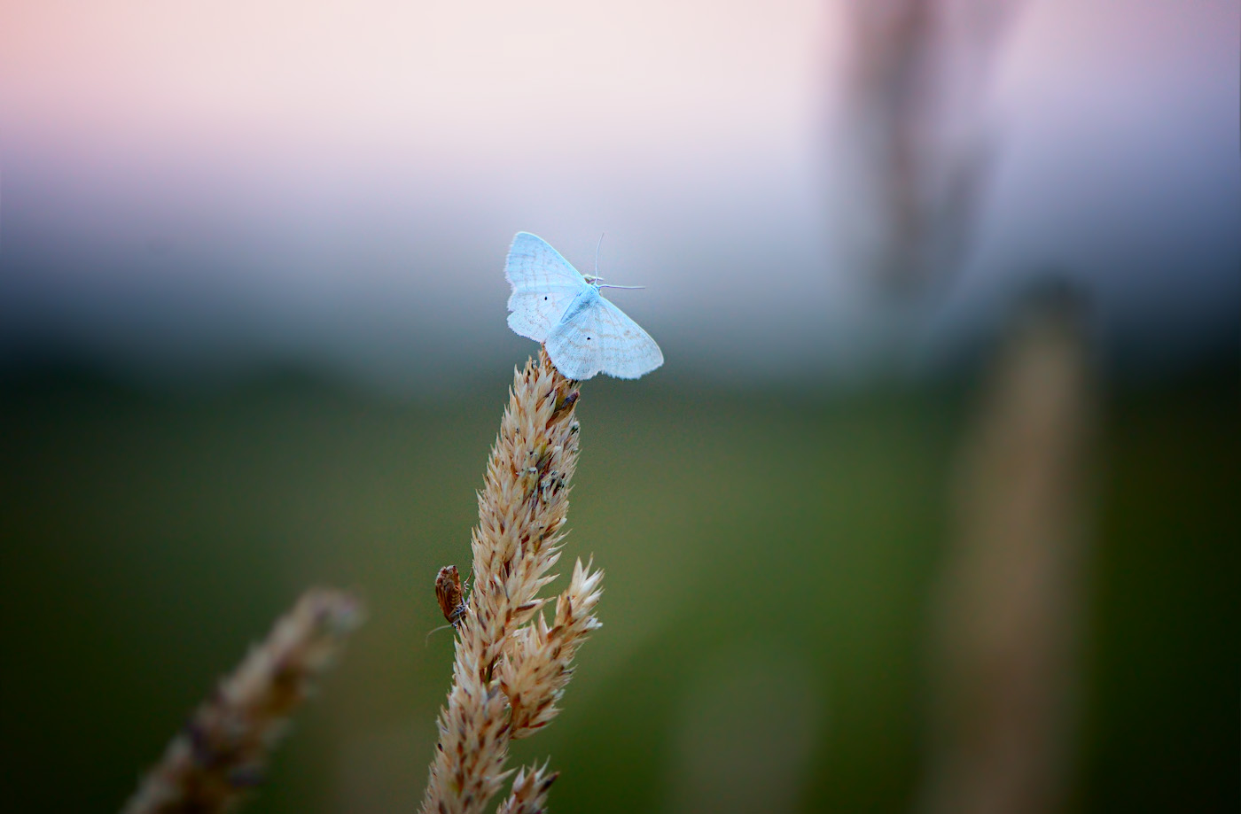 Warten auf die Nacht.