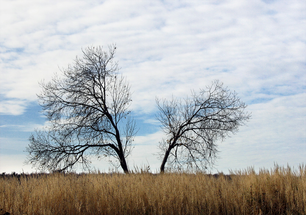 Wir wissen nicht auskommen ...