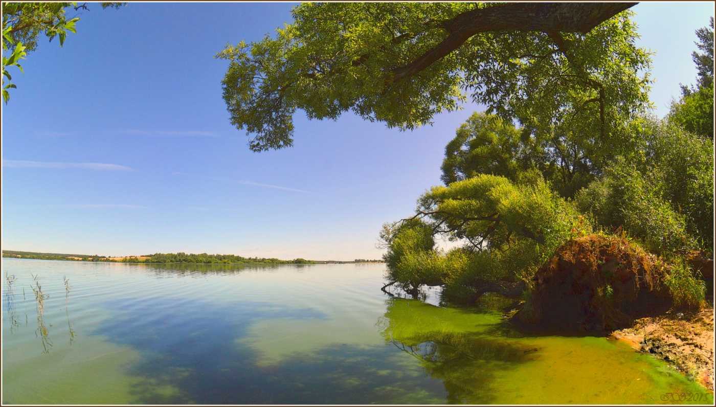 umgestürzten Baum 2