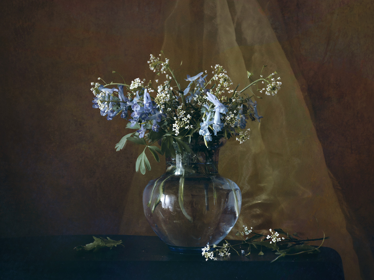 Während die Feder in dieser Welt ...