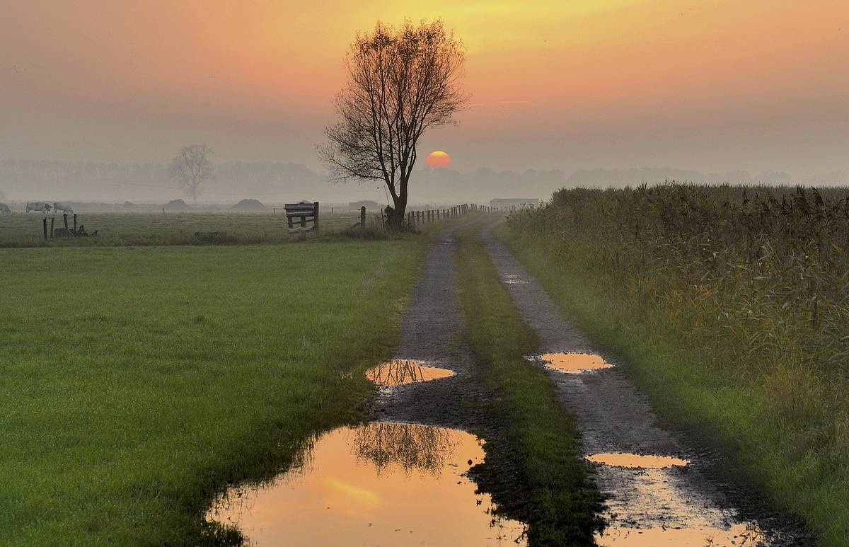 The sunrise after the rain night.