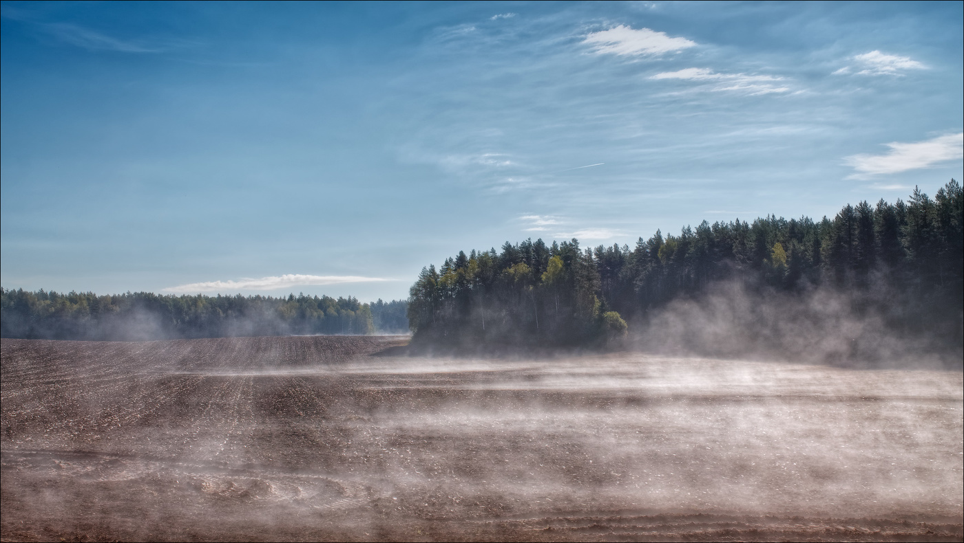 Über Morgen auf dem Feld