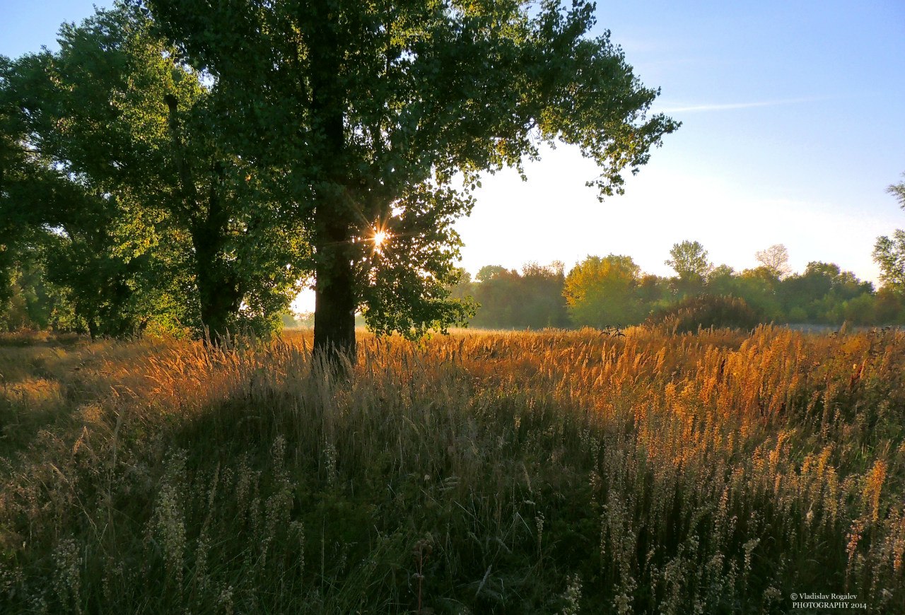 Treffen der Morgendämmerung