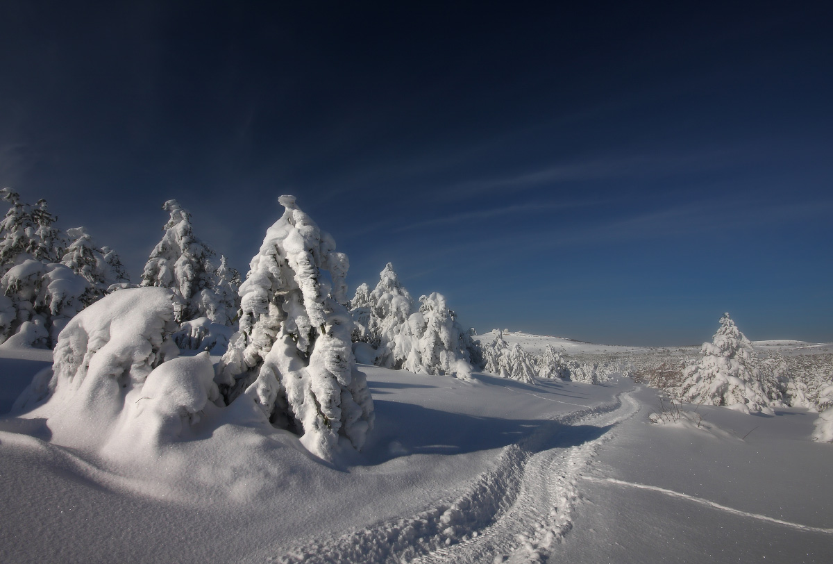 Auf den Straßen der Winter