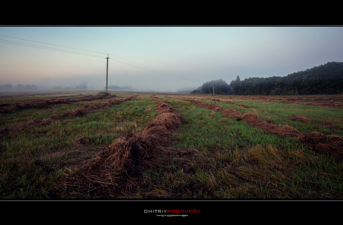 Morgen verregneten Sommer.