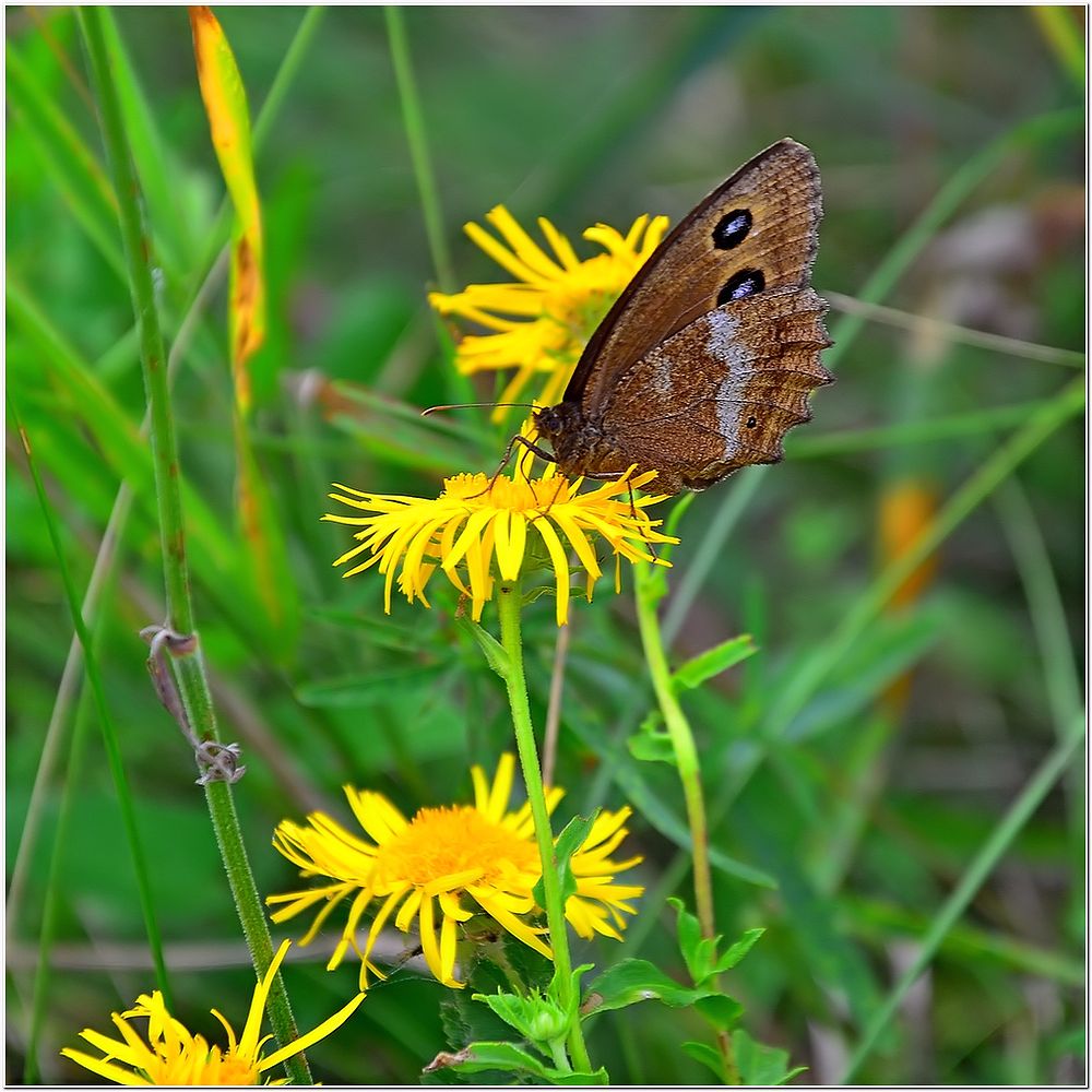 Treffen in der Realität