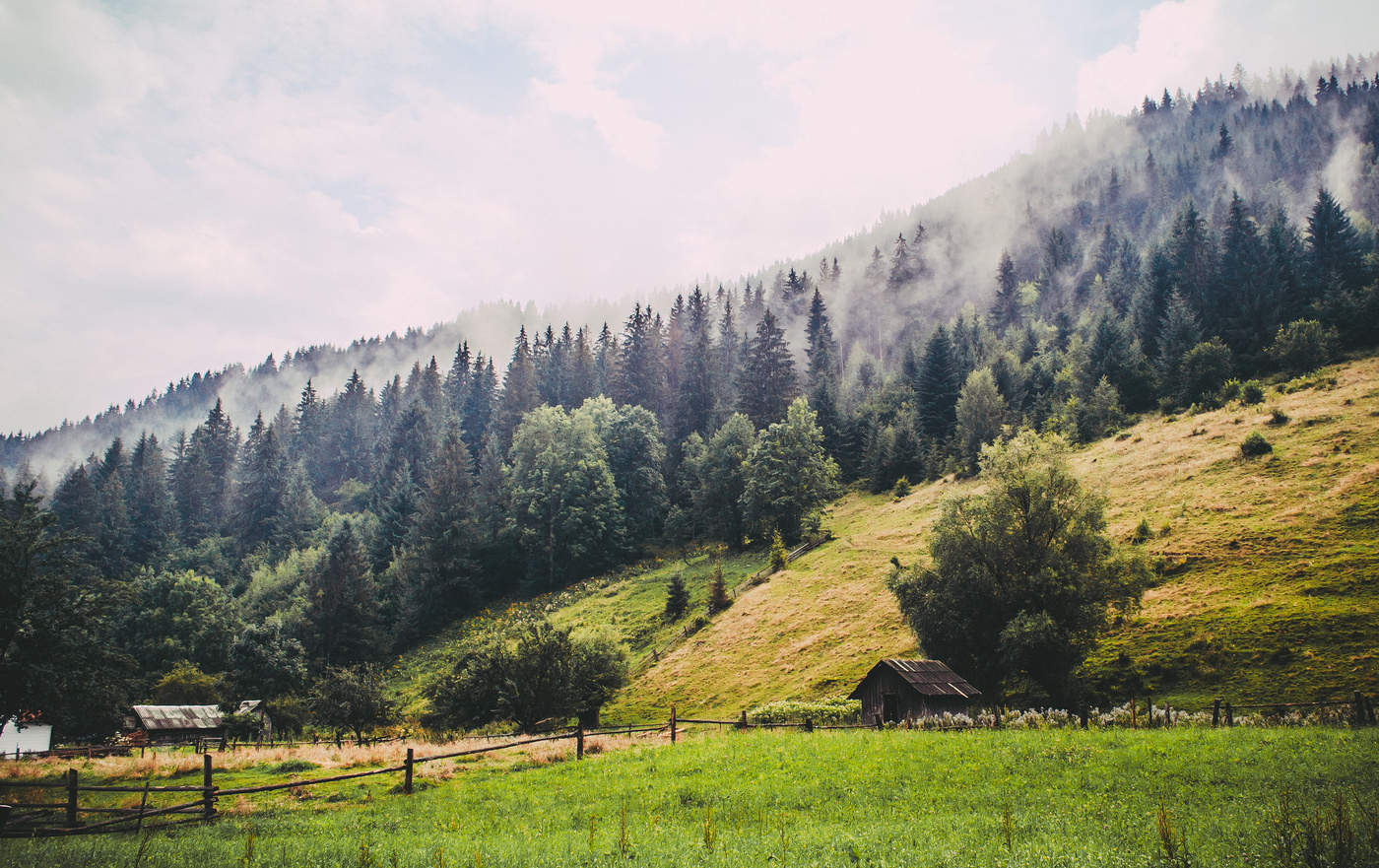The breath of the Carpatian mountains