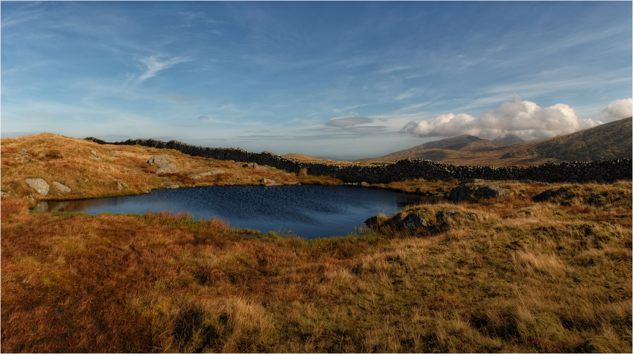 ... Windy Morgen ...