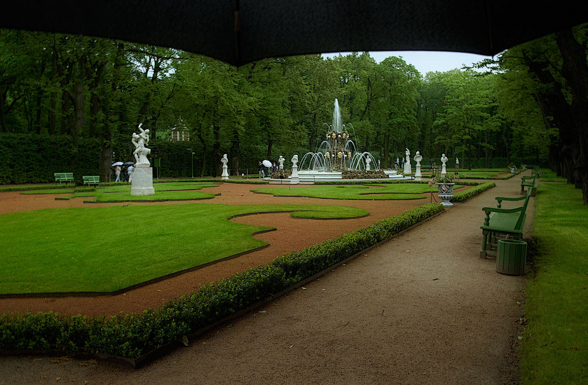 Regen im Sommergarten