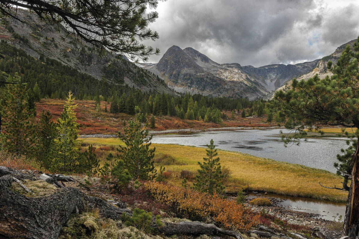 Herbstfarben Hoyt Gola