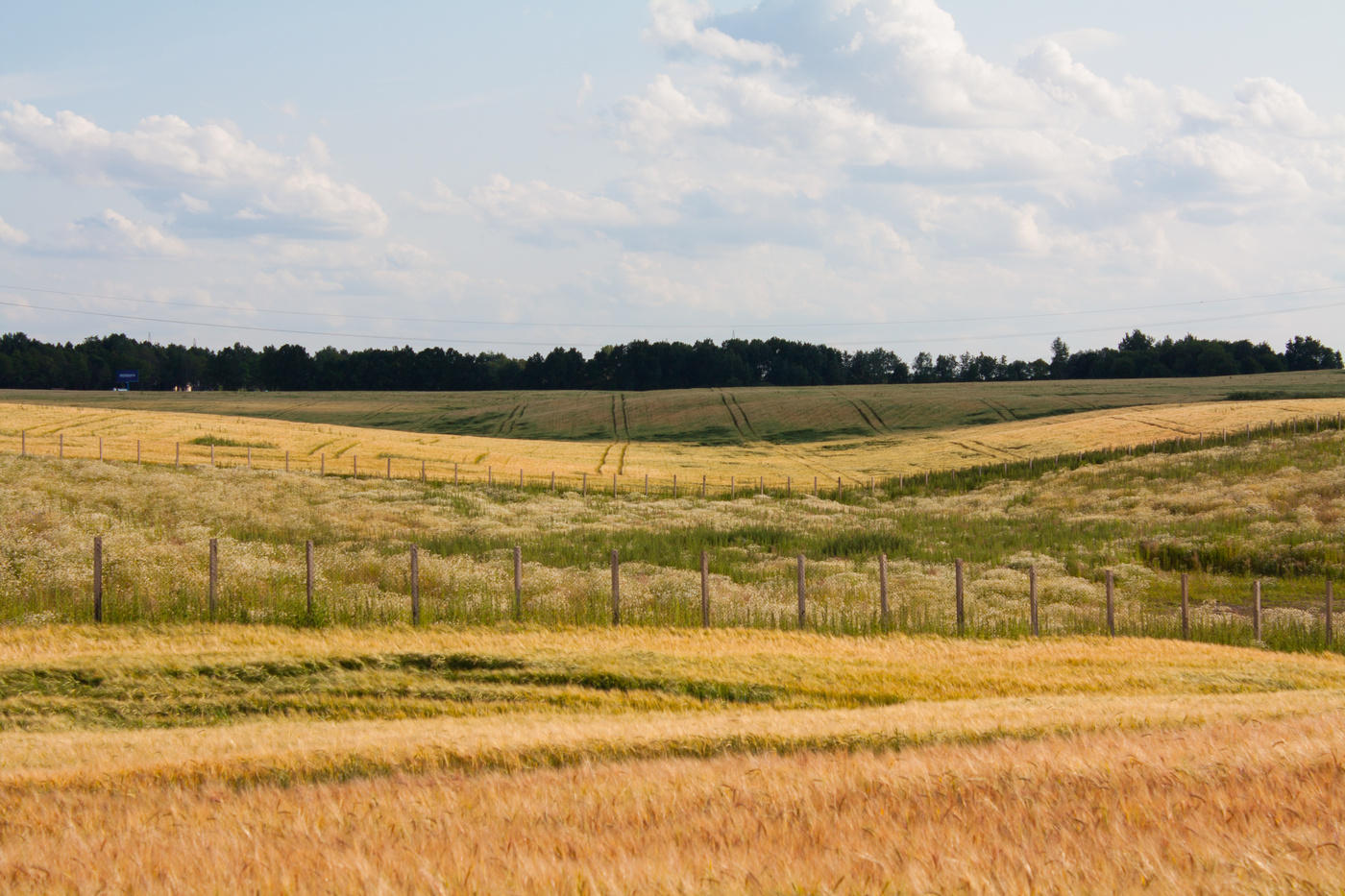 Chiaroscuro Feld bei Sonnenuntergang