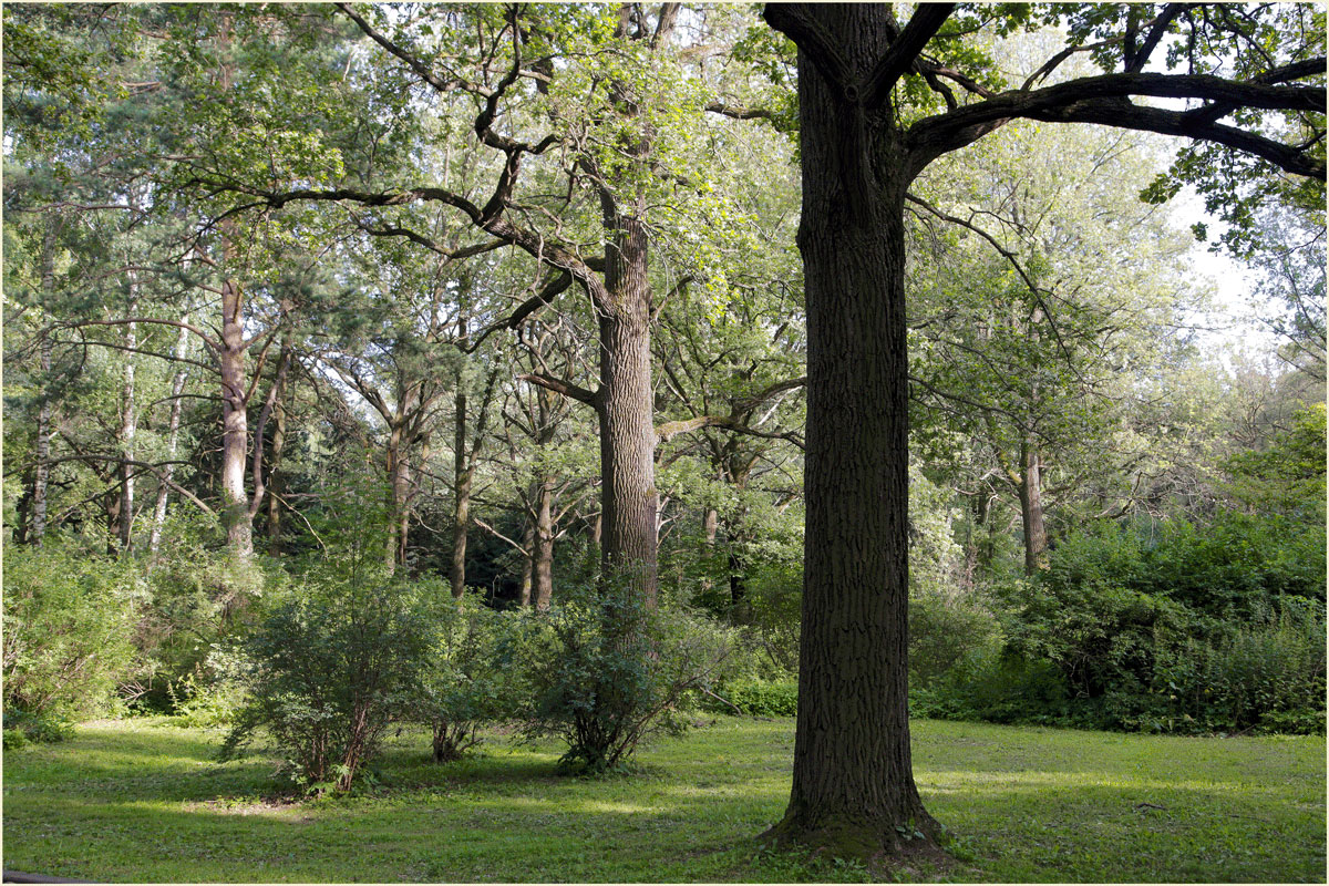 Der Botanische Garten
