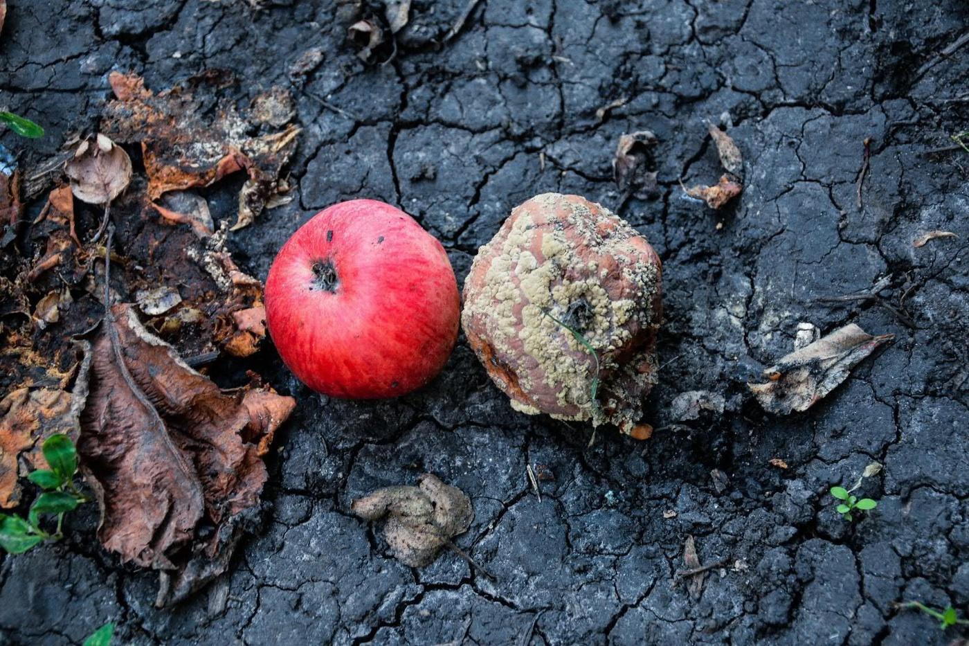 Nein, dass ist nicht das ewige Leben ist flüchtig