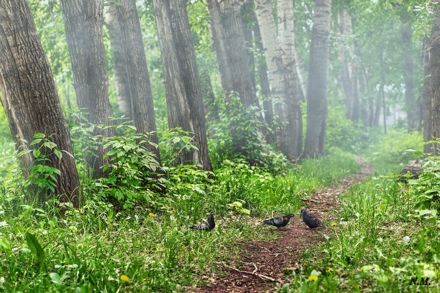 Auf dem Weg / Auf einem Spaziergang
