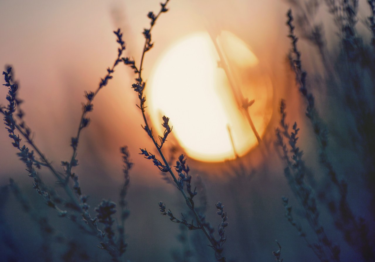 Sunset Stadt - der Held des Volgograd